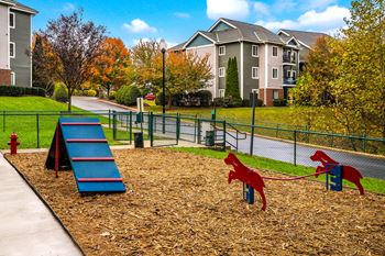 Dog park with agility equipment